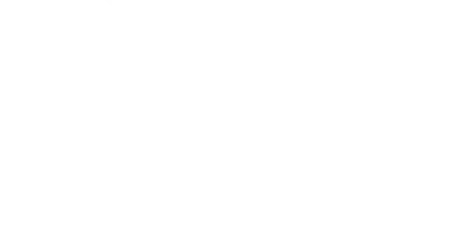 Synergy Solutions NV company branding symbol